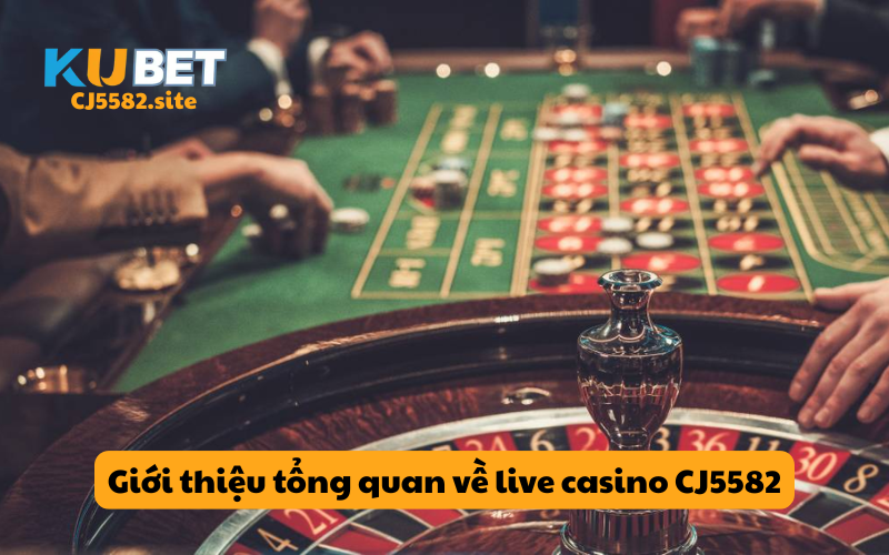 Giới thiệu tổng quan về live casino KUCASINO